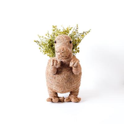 T-Rex Planter - Coco Coir Pots | LIKHÂ by LIKHÂ