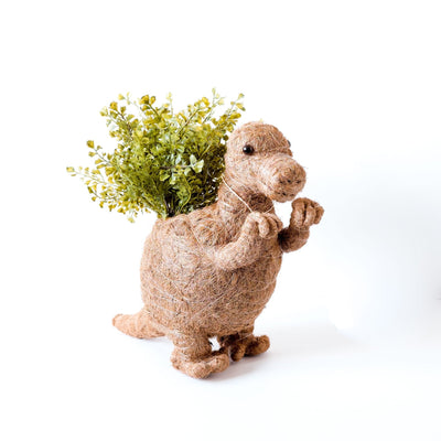 T-Rex Planter - Coco Coir Pots | LIKHÂ by LIKHÂ