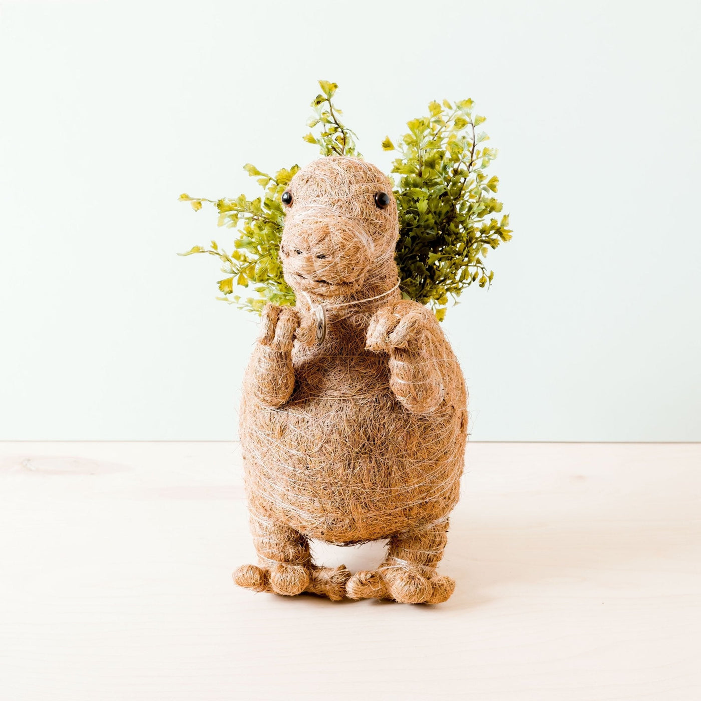 T-Rex Planter - Coco Coir Pots | LIKHÂ by LIKHÂ