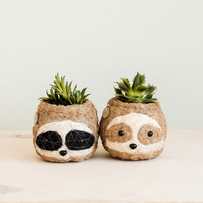 Three-tone Sloth Coco Coir Planter - Handmade Planters | LIKHÂ by LIKHÂ