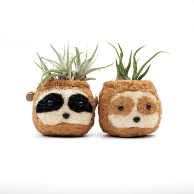 Three-tone Sloth Coco Coir Planter - Handmade Planters | LIKHÂ by LIKHÂ