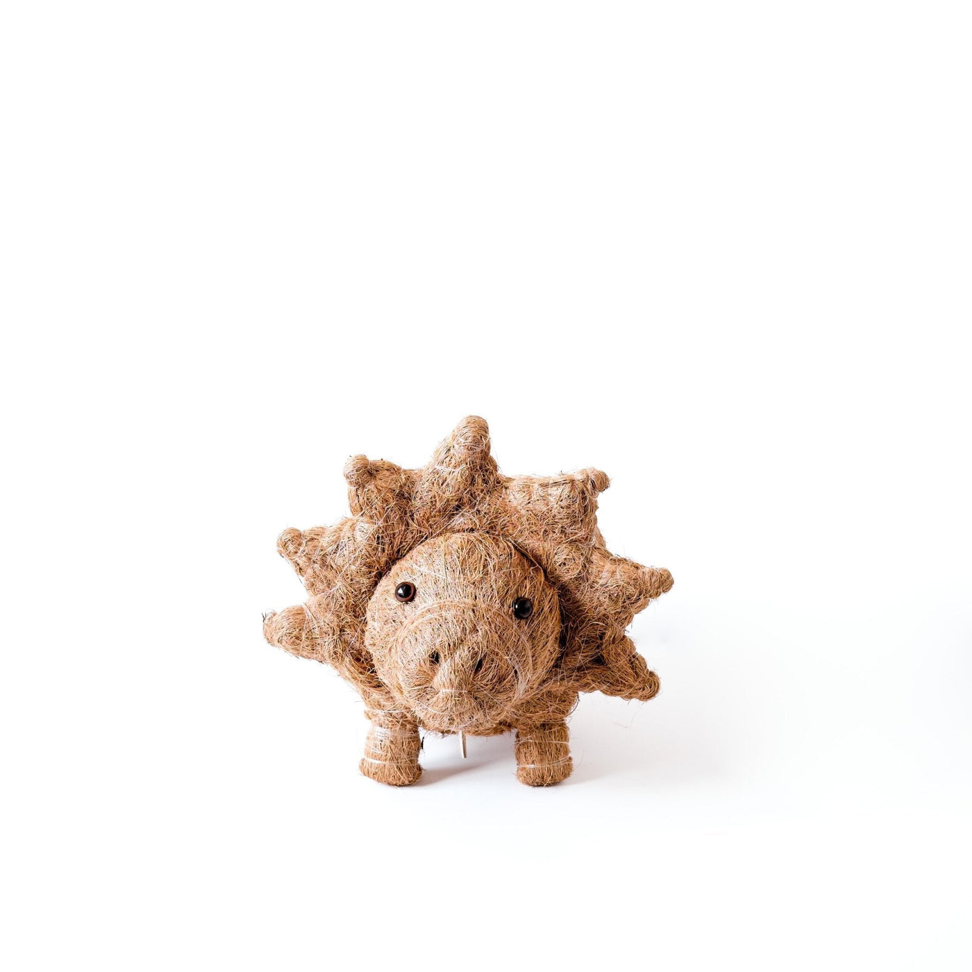 Triceratops Planter - Coco Coir Pots | LIKHÂ by LIKHÂ