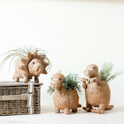 Triceratops Planter - Coco Coir Pots | LIKHÂ by LIKHÂ