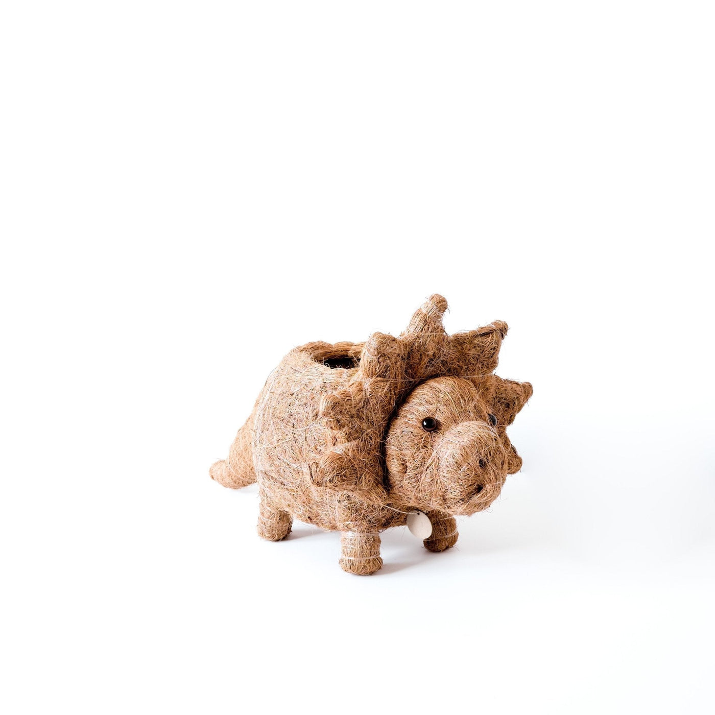 Triceratops Planter - Coco Coir Pots | LIKHÂ by LIKHÂ