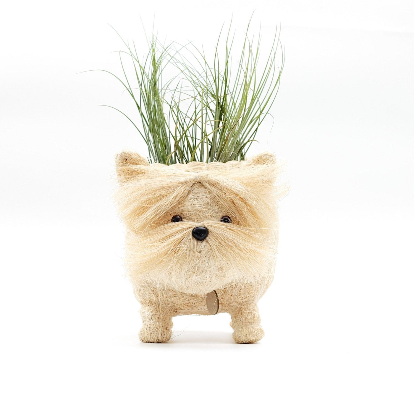 Westie Planter - Coco Coir Pots | LIKHÂ by LIKHÂ