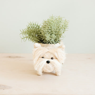 Westie Planter - Coco Coir Pots | LIKHÂ by LIKHÂ