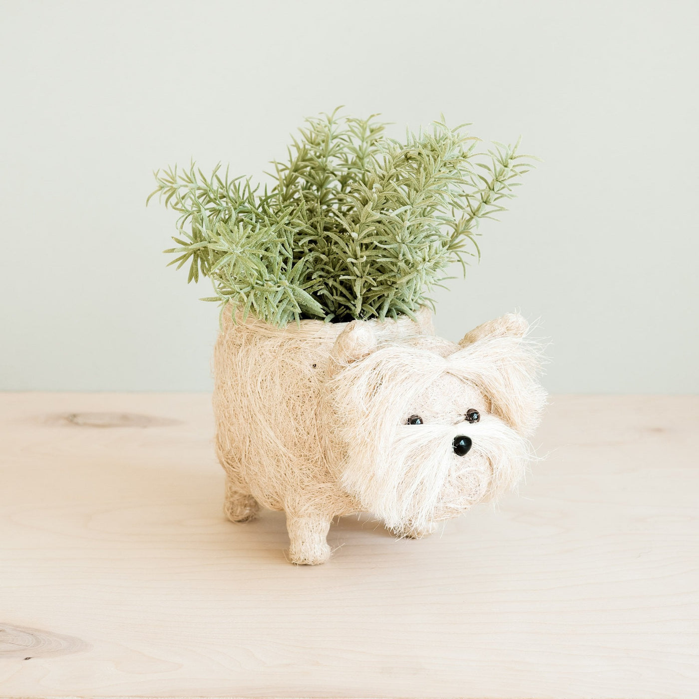 Westie Planter - Coco Coir Pots | LIKHÂ by LIKHÂ