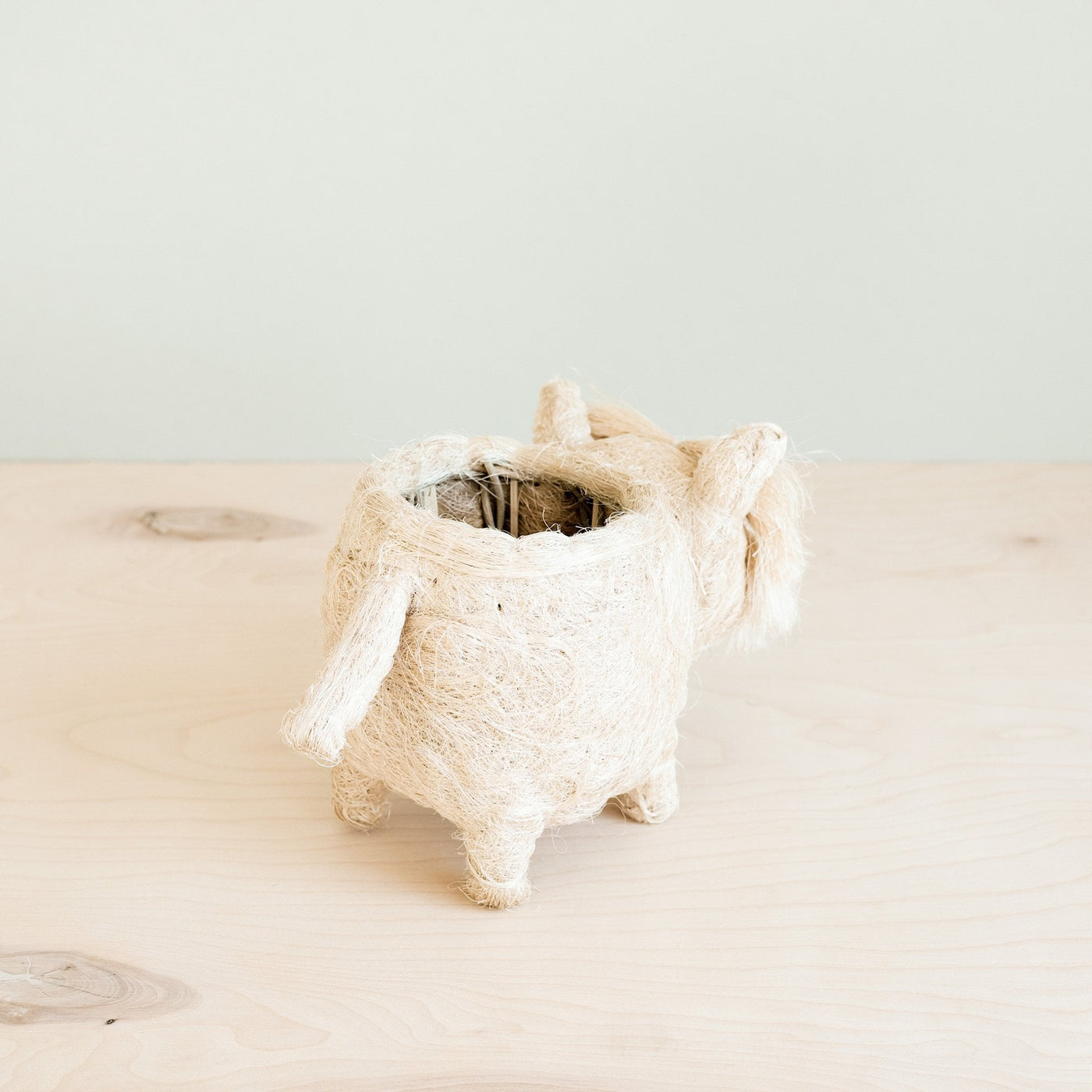 Westie Planter - Coco Coir Pots | LIKHÂ by LIKHÂ