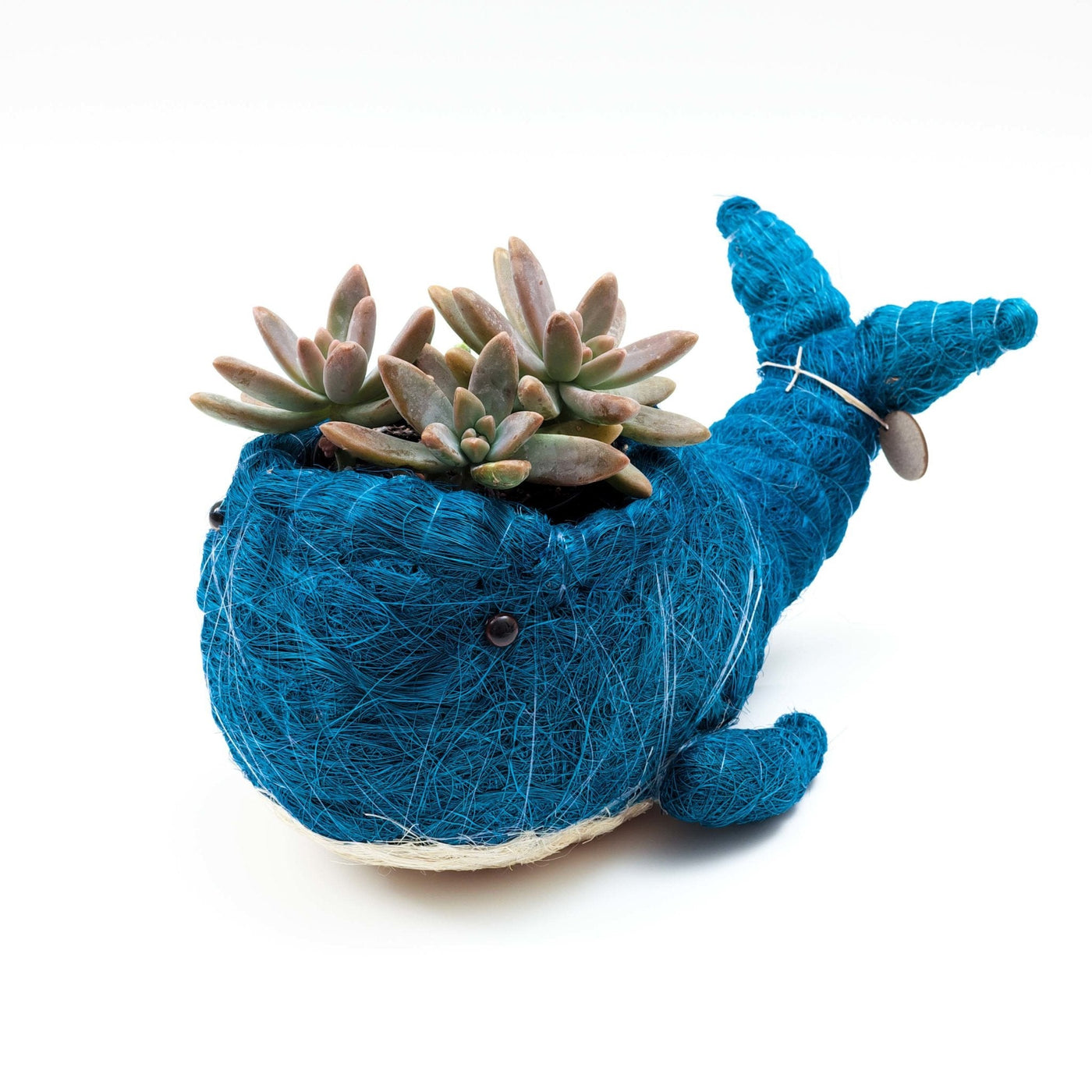 Wicker Whale Planter - Coco Planter | LIKHÂ by LIKHÂ