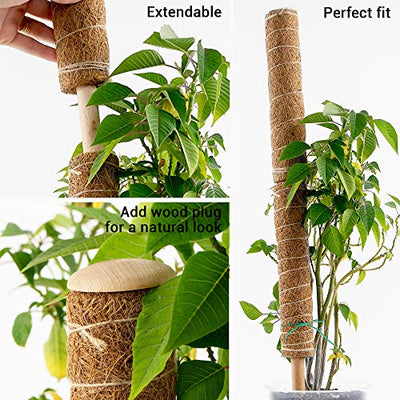 Coco Coir Climbing Pole by Bumble Plants