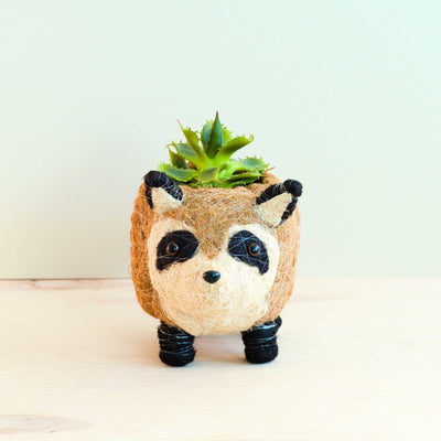 Raccoon Planter - Handmade Plant Pot | LIKHÂ by LIKHÂ