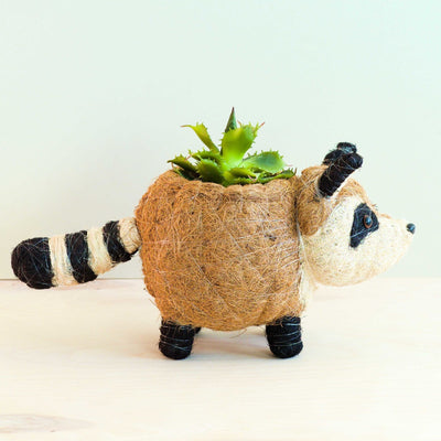 Raccoon Planter - Handmade Plant Pot | LIKHÂ by LIKHÂ