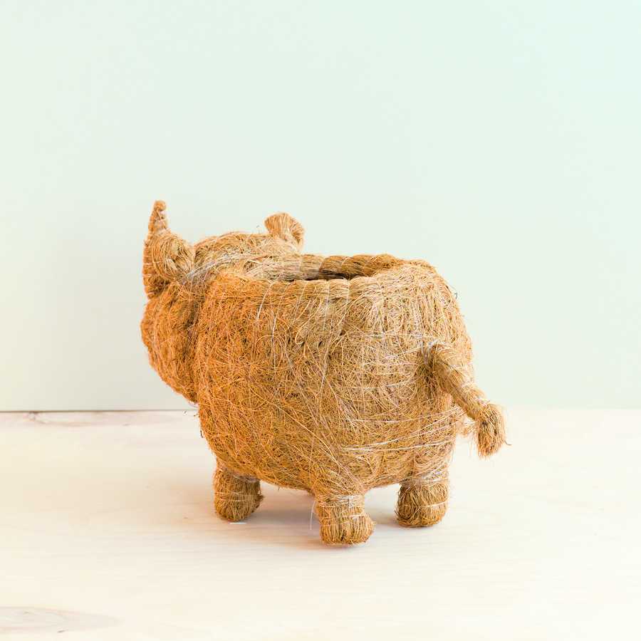 Rhino Planter - Coco Coir Pot | LIKHÂ by LIKHÂ