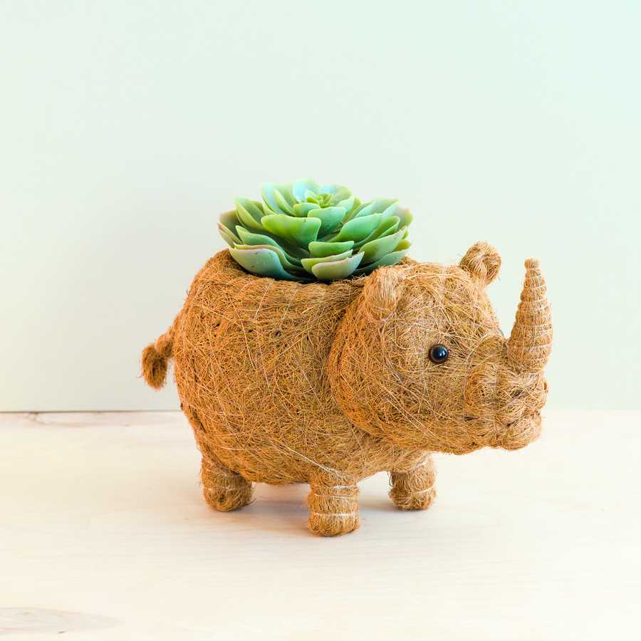 Rhino Planter - Coco Coir Pot | LIKHÂ by LIKHÂ