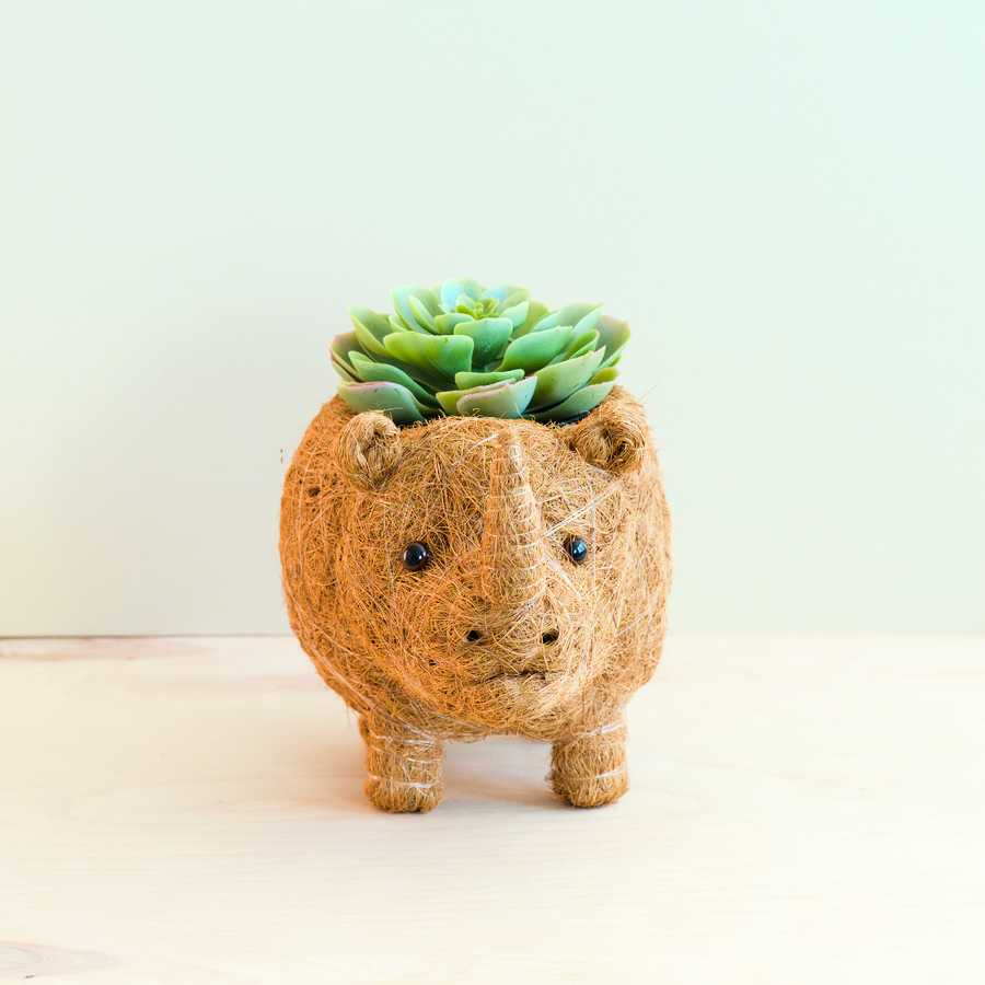 Rhino Planter - Coco Coir Pot | LIKHÂ by LIKHÂ